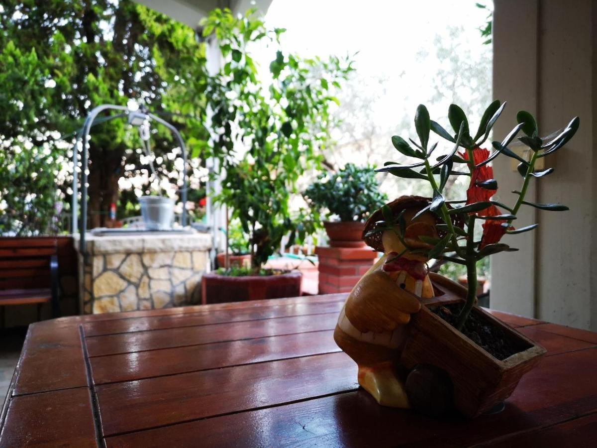 阿米里亚Casa Vacanze Sonia公寓 外观 照片